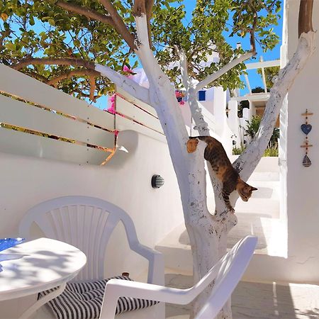 Lemon Tree Maisonette - Naoussa Paros 外观 照片