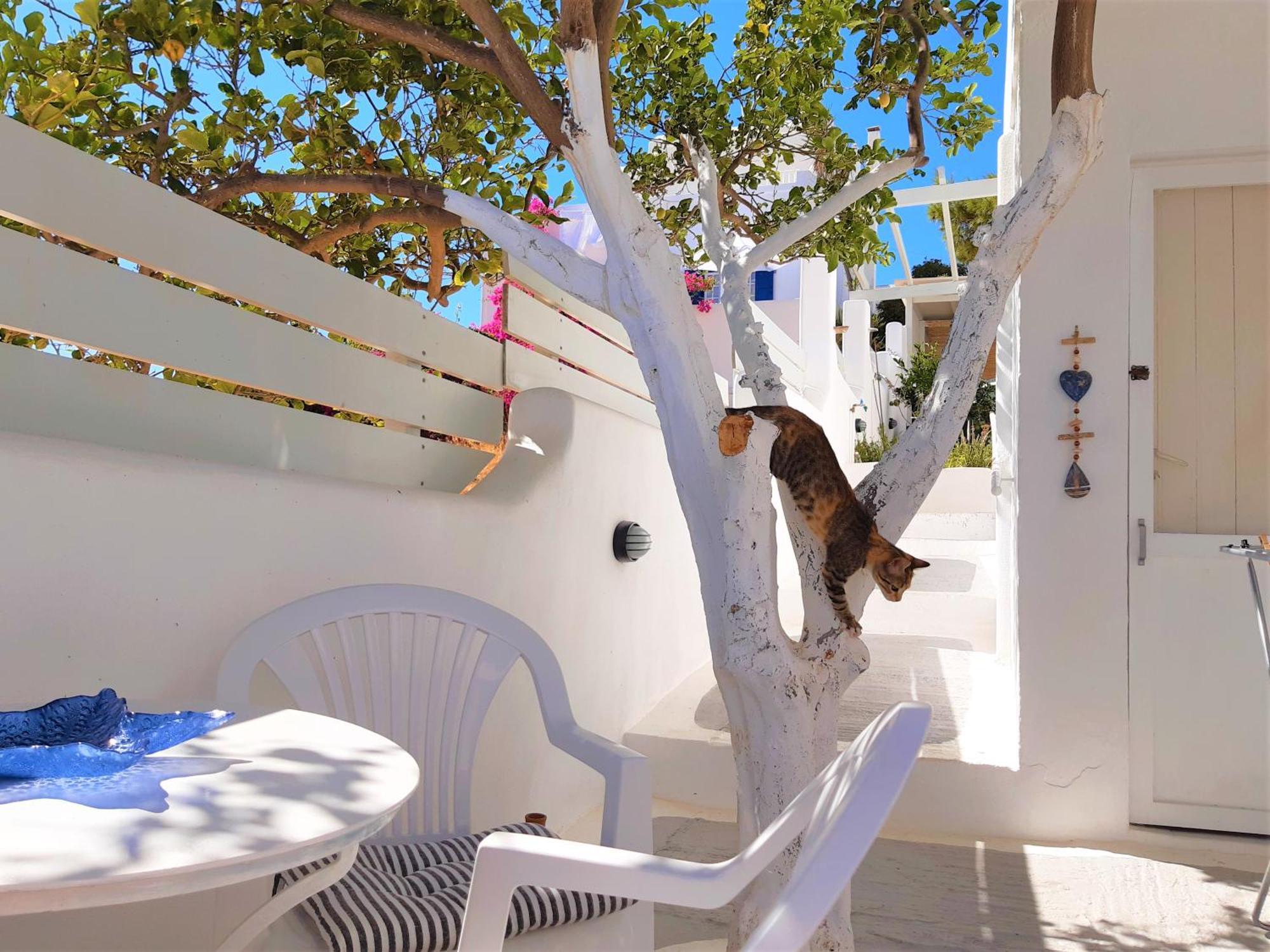 Lemon Tree Maisonette - Naoussa Paros 外观 照片